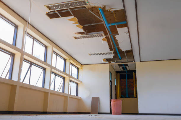 Best Ceiling water damage repair  in Chillicothe, MO