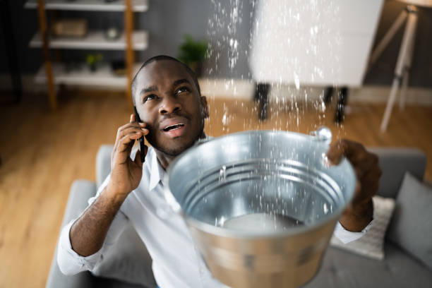 Best Water damage restoration near me  in Chillicothe, MO