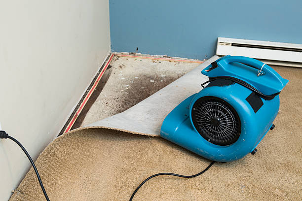 Best 24-hour water damage restoration  in Chillicothe, MO